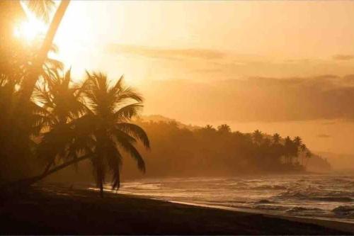 a beach with palm trees and the ocean at sunset at Renovated Condo at the Beach Close to Everything in Las Terrenas