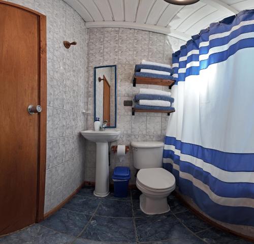 a bathroom with a toilet and a sink at Maravillosa cabaña Panguipulli in Panguipulli