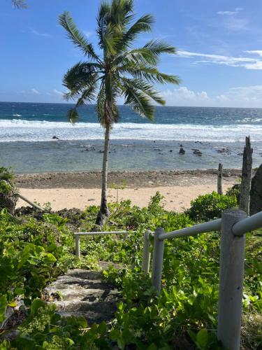 a palm tree on a beach with the ocean at Two Bedrooms Cottage House Beach Front Php 3,500 per night in Caridad