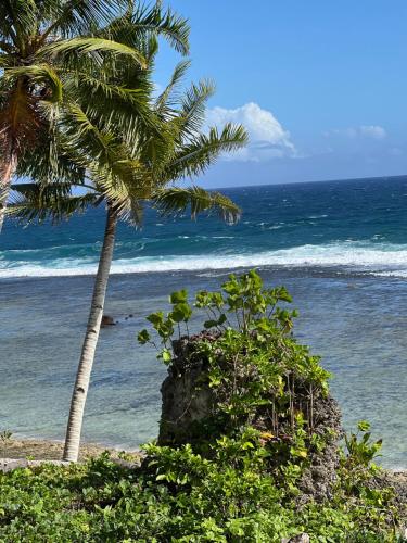 a beach with two palm trees and the ocean at Two Bedrooms Cottage House Beach Front Php 3,500 per night in Caridad