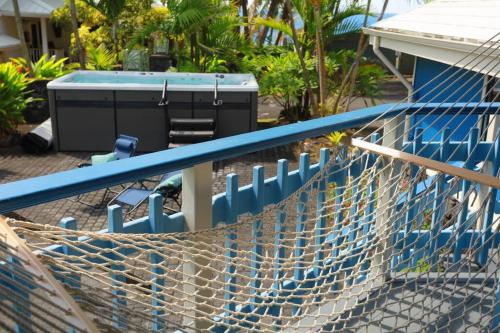 a net on top of a swimming pool at kehena black sand beach house - ocean view swim spa in Pahoa