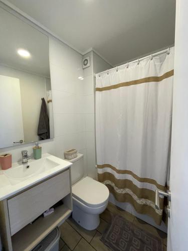 ein Badezimmer mit einem WC-Waschbecken und einem Duschvorhang in der Unterkunft Departamento cerro barón in Valparaíso