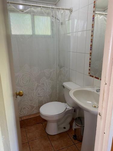 a bathroom with a toilet and a sink at Cabaña Quillón El Campito in Quillón