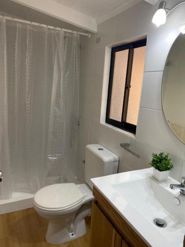 a bathroom with a toilet and a sink and a mirror at Cabaña Quillón El Campito in Quillón