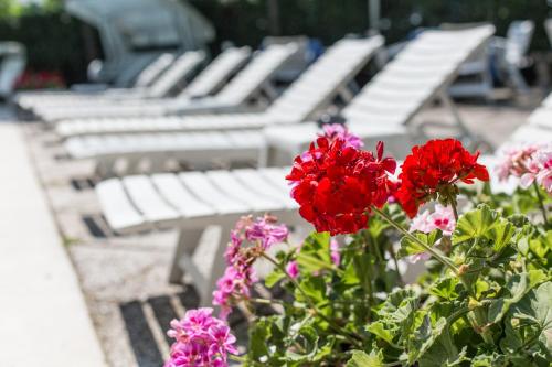 a group of white park benches with red flowers at Hotel Gioiello in Cesenatico