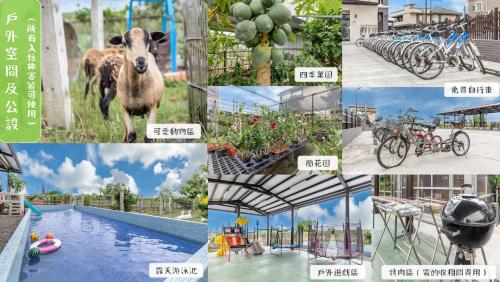 Fotografie z fotogalerie ubytování David Farm v destinaci Wujie