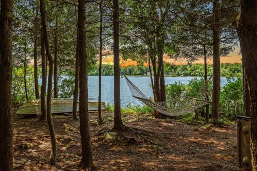 a hammock in the woods next to a lake at Tranquil Waterside by AvantStay Lakefront Dock Game Room Views in Pocono Summit