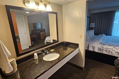a hotel room with a bathroom with a sink and a bed at Americinn by Wyndham Birch Run - Frankenmuth in Birch Run