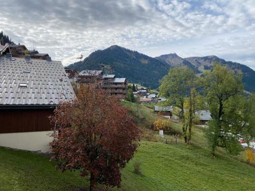 Studio chaleureux et calme à Châtel, proche centre, avec coin montagne, parking et balcon