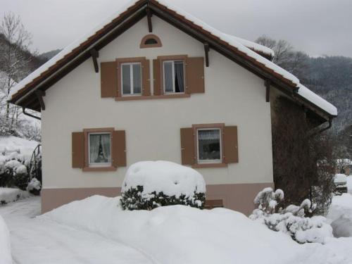 ein schneebedecktes Haus vor der Tür in der Unterkunft Haus Irene in Todtnau