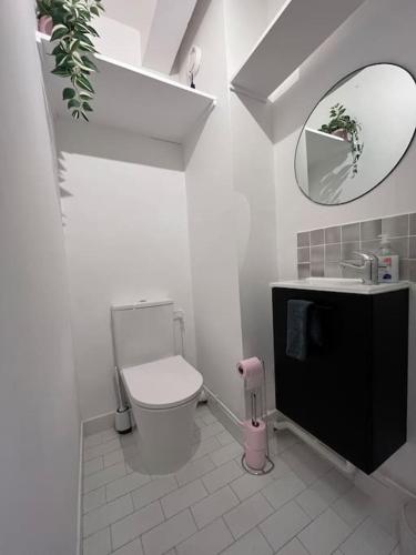 une salle de bain avec toilettes, lavabo et miroir dans l'établissement Le Point d'Eiffel - Au Cœur de Grenelle, à Paris