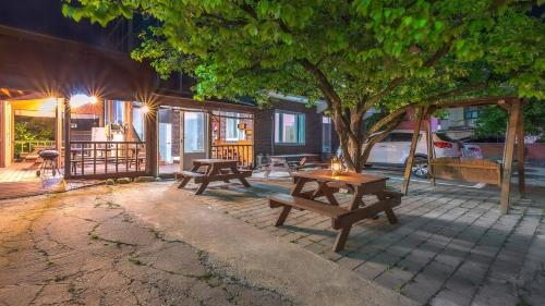 a group of picnic tables under a tree at night at Goseong Gamnamu Pension in Goseong