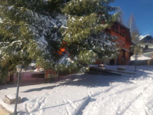 Tarska Svitanja en invierno