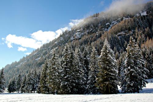Imagen de la galería de Hotel Petit Tournalin, en Champoluc