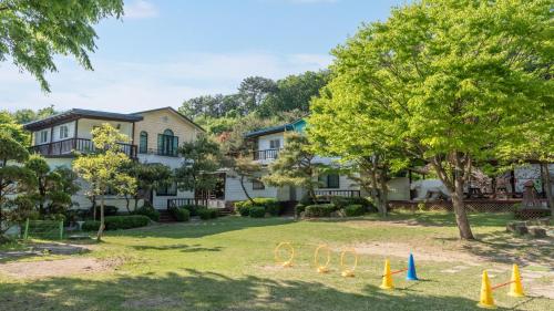 a yard with cones in front of a house at Pocheon luxjay pet Pension in Pocheon