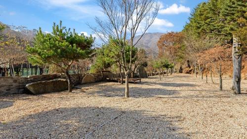 a park with trees and a bench on a gravel ground at Gapyeong dolgungpensyeon&kaempingjang in Gapyeong