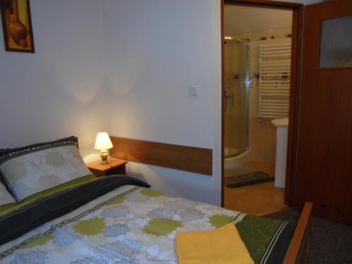 a bedroom with a bed and a walk in shower at Agroturystyka Krysia Pilszcz in Pilszcz
