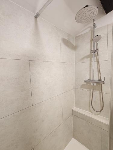 une salle de bain avec une douche avec pommeau de douche dans l'établissement Charmant T3 cœur de ville, à Orléans