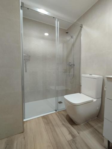 a bathroom with a toilet and a glass shower at Vivienda Benasque Ibonet in Benasque