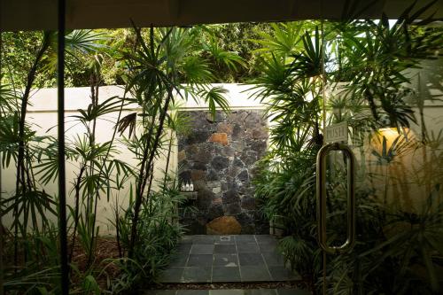 a garden with palm trees and a walkway at Kahanda Kanda in Koggala