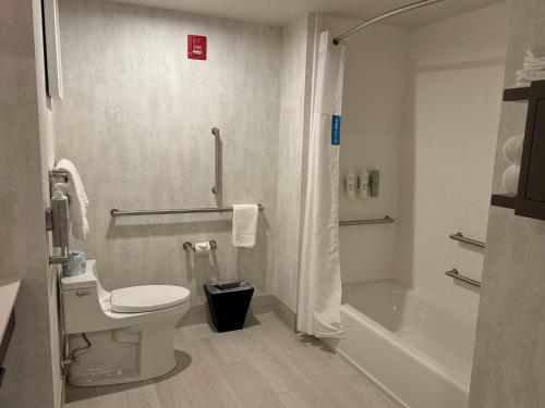 Un baño de Hampton Inn & Suites Dobson
