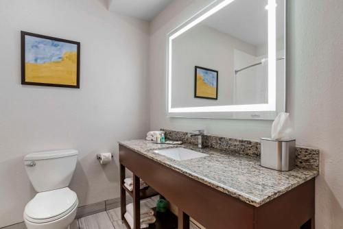 a bathroom with a toilet and a sink with a mirror at Comfort Suites Hattiesburg near University in Hattiesburg