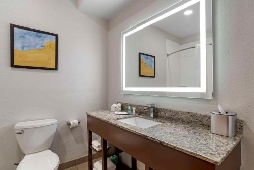 a bathroom with a toilet and a sink with a mirror at Comfort Suites Hattiesburg near University in Hattiesburg