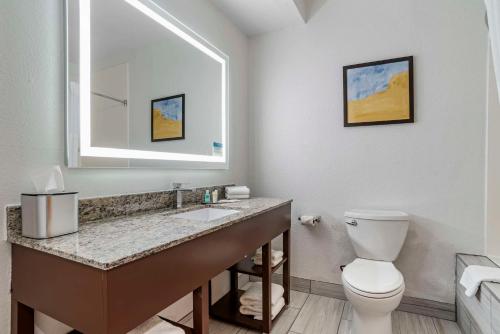a bathroom with a toilet and a sink and a mirror at Comfort Suites Hattiesburg near University in Hattiesburg