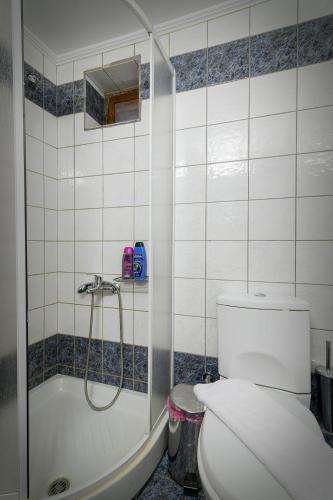 a bathroom with a shower and a toilet and a tub at Konaki inn in Palaios Agios Athanasios