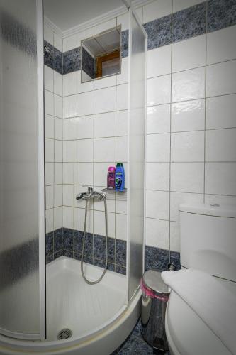 a bathroom with a shower and a toilet at Konaki inn in Palaios Agios Athanasios