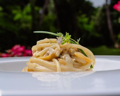 a plate of pasta on a white plate at Hotel Stella Della Versilia in Marina di Massa