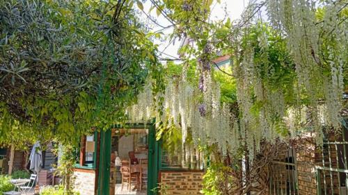 Paisible escale chez l'habitant