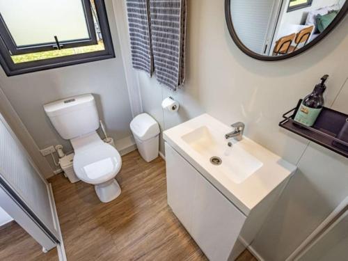 a bathroom with a toilet and a sink and a mirror at Rural retreat - Tahi cabin in Ohakune