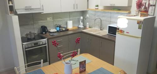 Kuchyň nebo kuchyňský kout v ubytování Elia patra apartment