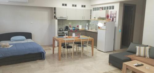 Kuchyň nebo kuchyňský kout v ubytování Elia patra apartment