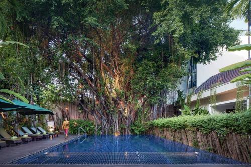 Lynnaya Urban River Resort — Pool view