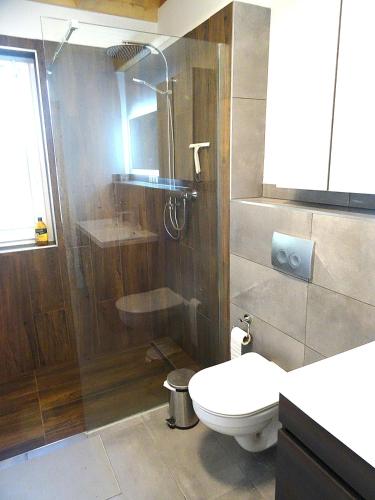 a bathroom with a shower and a toilet and a sink at Ferienhaus Seeblick in Rheinsberg