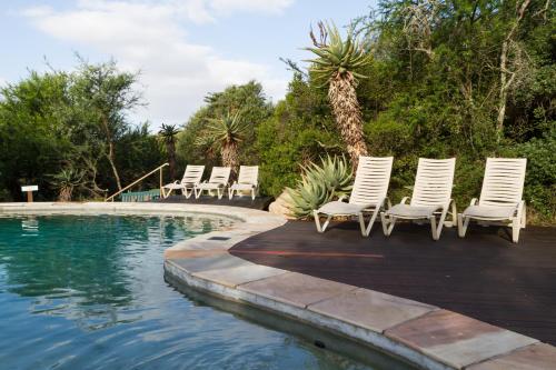 a group of chairs sitting next to a swimming pool at Stonehill River Lodge by Dream Resorts in Buffeljagsrivier