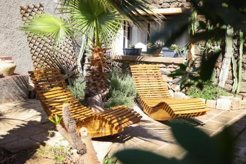 two wooden chairs in a garden with palm trees at Cactus b&b Le casette di Marilena in Pantelleria