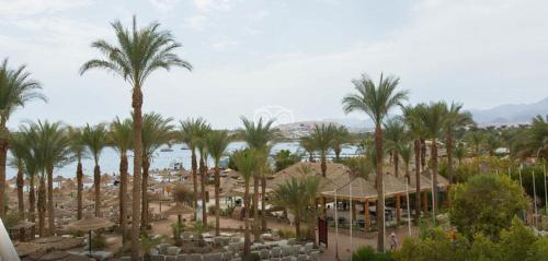 a view of a resort with palm trees and a beach at Oonas Dive Club in Sharm El Sheikh