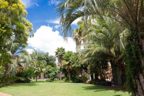 a lawn with palm trees in a park at Gemstone Guest House in Klerksdorp
