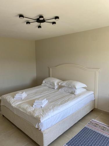 a bedroom with a bed with a ceiling fan at Monte Vista 2 in Rostoka