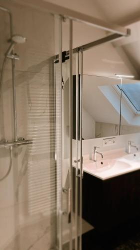 a bathroom with a glass shower and a sink at Dune Du Clémot in Blankenberge