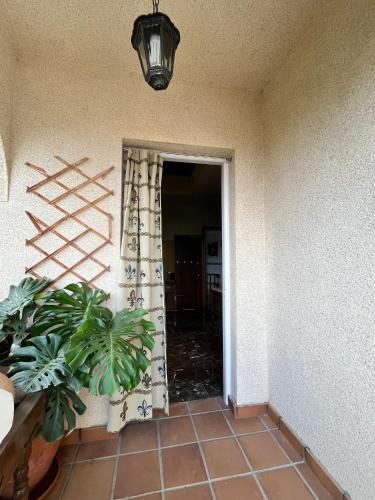 a room with a door with a curtain and a plant at El Chalete in Otura