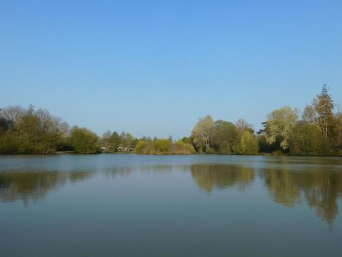 a large lake with trees in the background at Village de Gîtes Nature et Jardin in Bouère