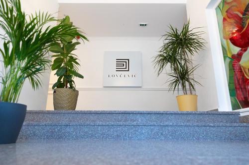 a group of potted plants sitting on top of a staircase at Lovcevic Apartmani & Sobe in Šabac