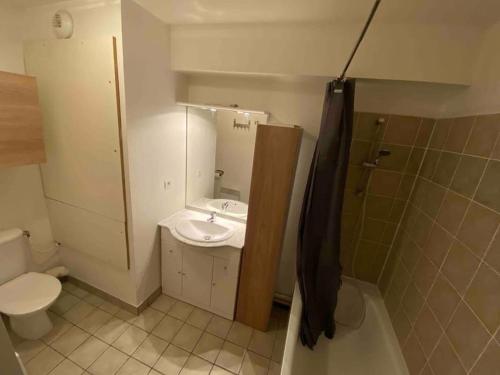 a bathroom with a sink and a toilet at Le Peractis au Dévoluy in Superdevoluy