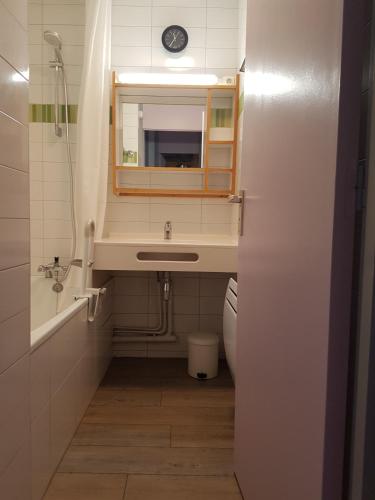 une salle de bain avec un lavabo et un miroir dans l'établissement Arcades-48- Studio pied des pistes-3 pers, à Doucy
