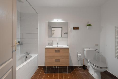 une salle de bain avec toilettes, lavabo et baignoire dans l'établissement Spacieux T2 au centre ville avec parking et climatisation, à Carcassonne