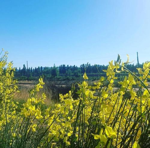 Příroda nedaleko apartmánu